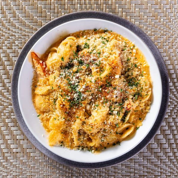Overhead view of a white bowl filled with creamy pasta, topped with breadcrumbs and parsley.