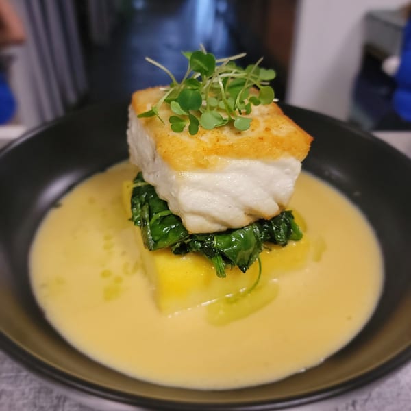 Pan-seared fish with microgreens, spinach, and polenta in a creamy yellow sauce.